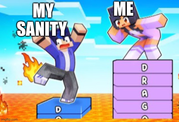 ME; MY SANITY | made w/ Imgflip meme maker