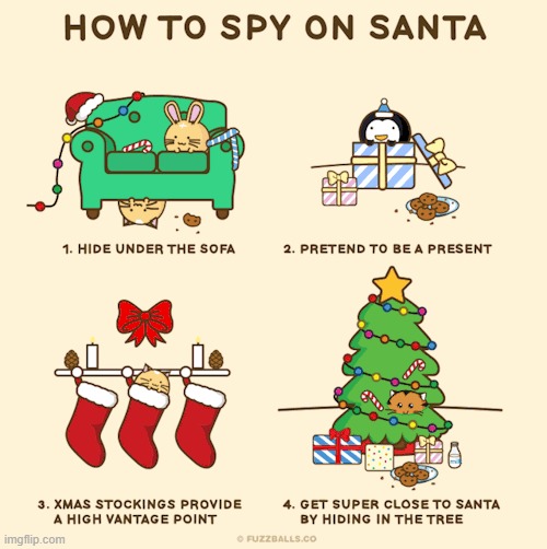 image tagged in memes,comics,cats,bunny,spying,santa | made w/ Imgflip meme maker