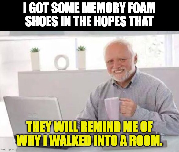 Memory | I GOT SOME MEMORY FOAM SHOES IN THE HOPES THAT; THEY WILL REMIND ME OF WHY I WALKED INTO A ROOM. | image tagged in harold,dad joke | made w/ Imgflip meme maker