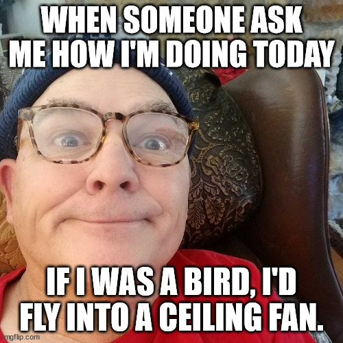 Durl Earl | WHEN SOMEONE ASK ME HOW I'M DOING TODAY; IF I WAS A BIRD, I'D FLY INTO A CEILING FAN. | image tagged in durl earl | made w/ Imgflip meme maker