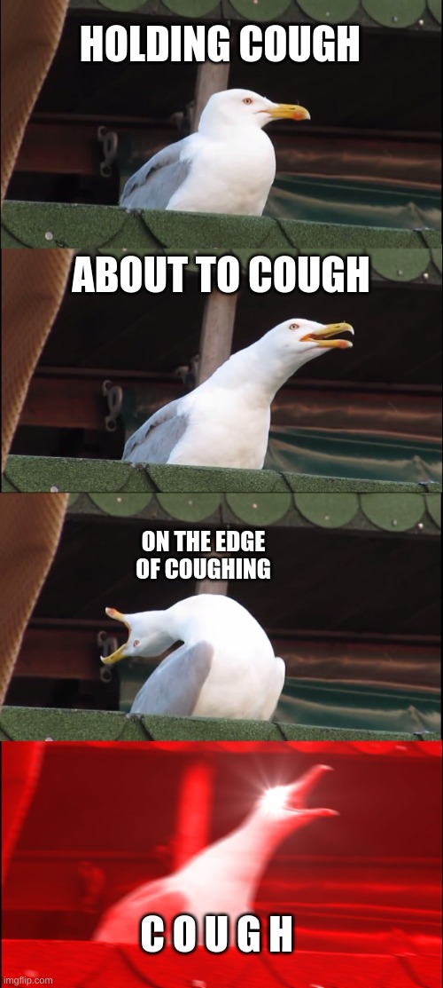 Inhaling Seagull Meme | HOLDING COUGH; ABOUT TO COUGH; ON THE EDGE OF COUGHING; C O U G H | image tagged in memes,inhaling seagull | made w/ Imgflip meme maker