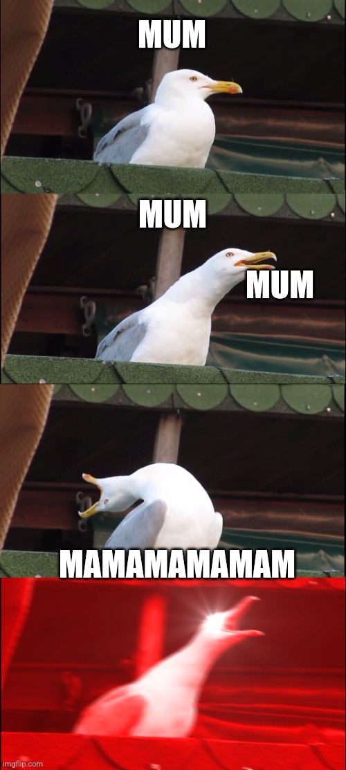 When I call my mother rbut she doesn't hear me | MUM; MUM; MUM; MAMAMAMAMAM | image tagged in memes,inhaling seagull | made w/ Imgflip meme maker