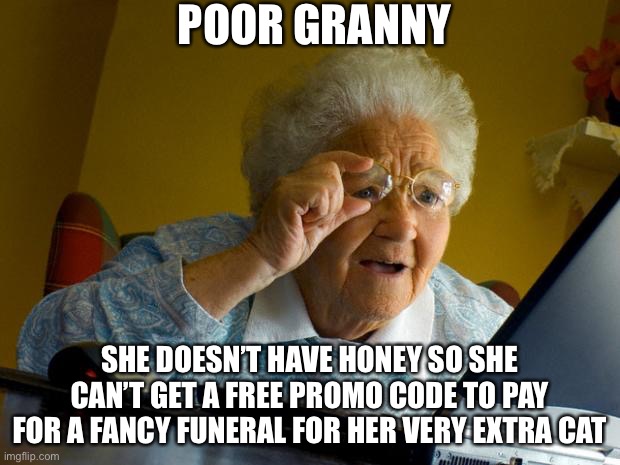 I can’t get free non pay full price promo code |  POOR GRANNY; SHE DOESN’T HAVE HONEY SO SHE CAN’T GET A FREE PROMO CODE TO PAY FOR A FANCY FUNERAL FOR HER VERY EXTRA CAT | image tagged in old lady at computer finds the internet | made w/ Imgflip meme maker