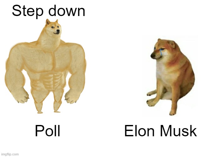 Buff Doge vs. Cheems | Step down; Poll; Elon Musk | image tagged in memes,buff doge vs cheems | made w/ Imgflip meme maker