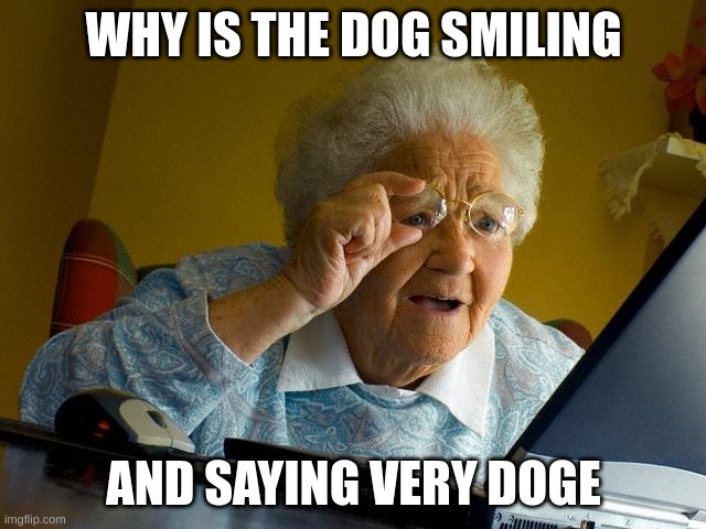 Grandma Finds The Internet | WHY IS THE DOG SMILING; AND SAYING VERY DOGE | image tagged in memes,grandma finds the internet,lol,funny,doge,internet | made w/ Imgflip meme maker