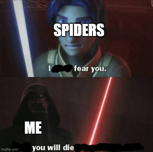 why did i make this | SPIDERS; ME | image tagged in then you will die braver than most,memes | made w/ Imgflip meme maker