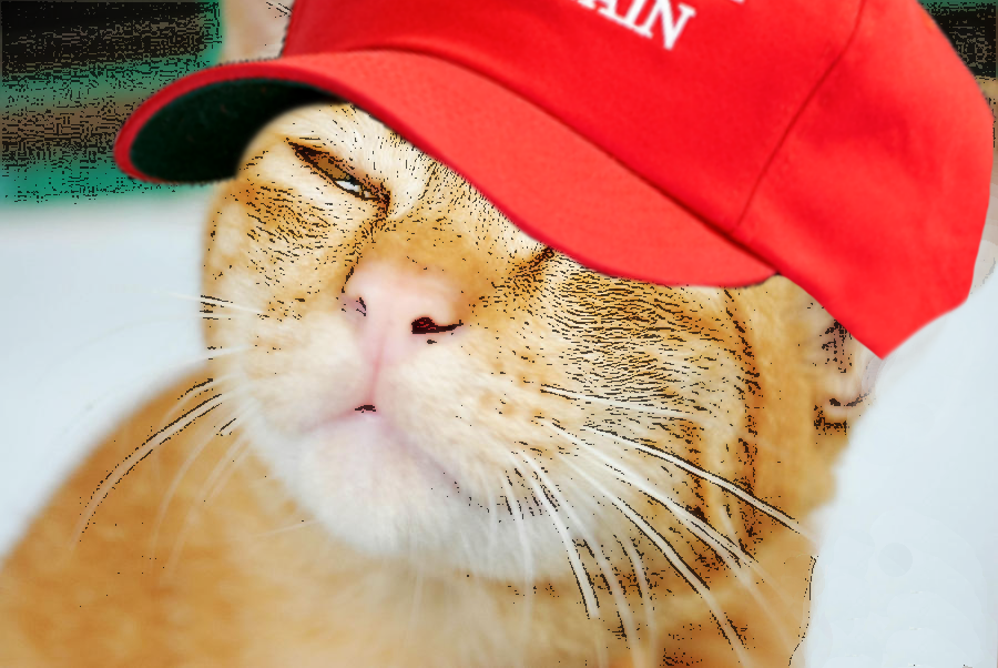 Cool Ultra Cat Blank Meme Template