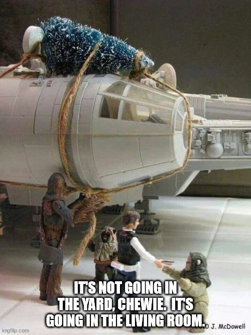 Star Wars Christmas Vacation Tree | IT'S NOT GOING IN THE YARD, CHEWIE.  IT'S GOING IN THE LIVING ROOM. | image tagged in star wars,christmas vacation | made w/ Imgflip meme maker