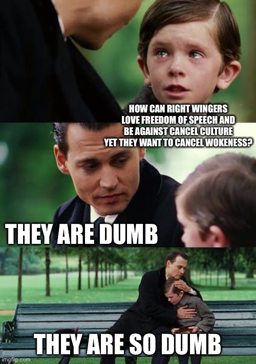 Finding Neverland | HOW CAN RIGHT WINGERS LOVE FREEDOM OF SPEECH AND BE AGAINST CANCEL CULTURE YET THEY WANT TO CANCEL WOKENESS? THEY ARE DUMB; THEY ARE SO DUMB | image tagged in memes,finding neverland | made w/ Imgflip meme maker