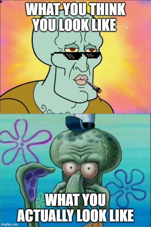 wow | WHAT YOU THINK YOU LOOK LIKE; WHAT YOU ACTUALLY LOOK LIKE | image tagged in memes,squidward | made w/ Imgflip meme maker