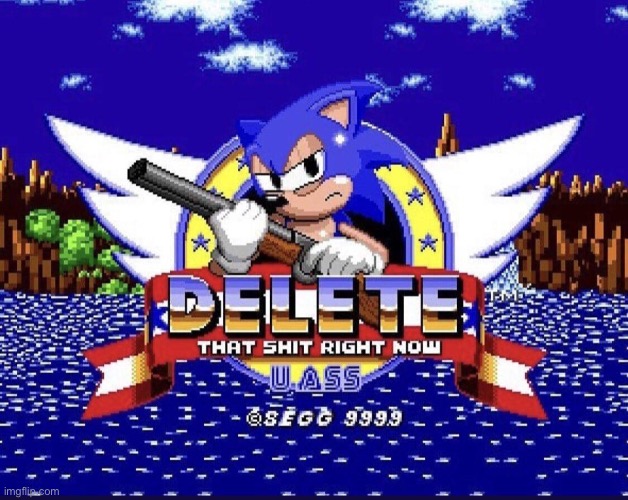 sonic, put the gun down… | image tagged in sonic delete that sh t right now u a | made w/ Imgflip meme maker