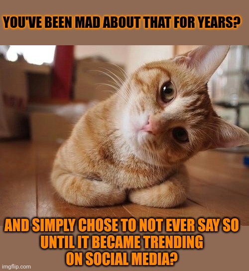 This #lolcat wonders why people are only upset when something becomes trending | YOU'VE BEEN MAD ABOUT THAT FOR YEARS? AND SIMPLY CHOSE TO NOT EVER SAY SO
UNTIL IT BECAME TRENDING
ON SOCIAL MEDIA? | image tagged in lolcat,trending,upset,think about it | made w/ Imgflip meme maker