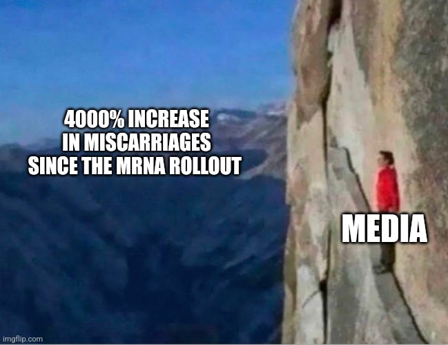 Cliff | 4000% INCREASE IN MISCARRIAGES SINCE THE MRNA ROLLOUT; MEDIA | image tagged in cliff,funny memes | made w/ Imgflip meme maker