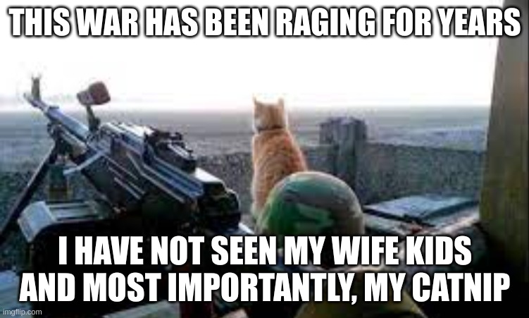 Fluffy has decided against destroying the human race and now fights for Ukraine on the front line | THIS WAR HAS BEEN RAGING FOR YEARS; I HAVE NOT SEEN MY WIFE KIDS AND MOST IMPORTANTLY, MY CATNIP | image tagged in warrior cats,cats,ukraine,fluffy,funny,cat | made w/ Imgflip meme maker