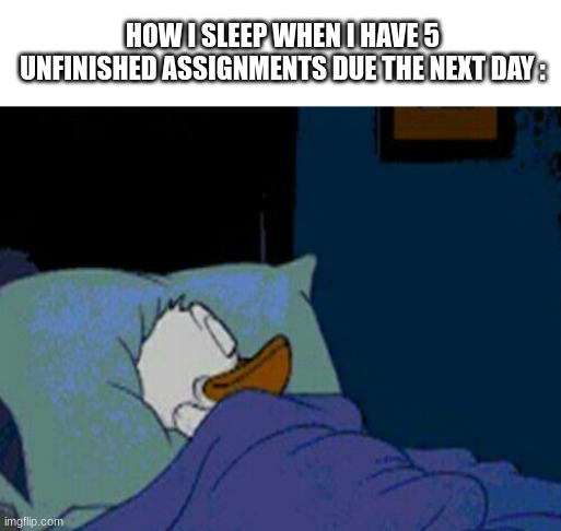 HOW I SLEEP WHEN I HAVE 5 UNFINISHED ASSIGNMENTS DUE THE NEXT DAY : | image tagged in sleepy donald duck in bed,relatable,memes,school,homework | made w/ Imgflip meme maker