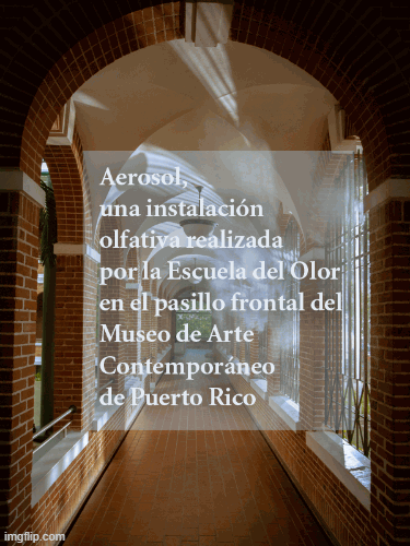 Aerosol Instalación olfativa | Autogiro arte actual | image tagged in gifs,art,installation,artists | made w/ Imgflip images-to-gif maker