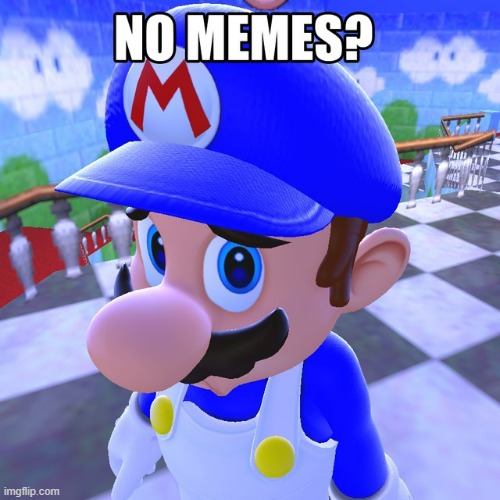 No memes? | image tagged in no memes | made w/ Imgflip meme maker