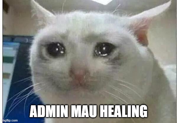 crying cat | ADMIN MAU HEALING | image tagged in crying cat | made w/ Imgflip meme maker