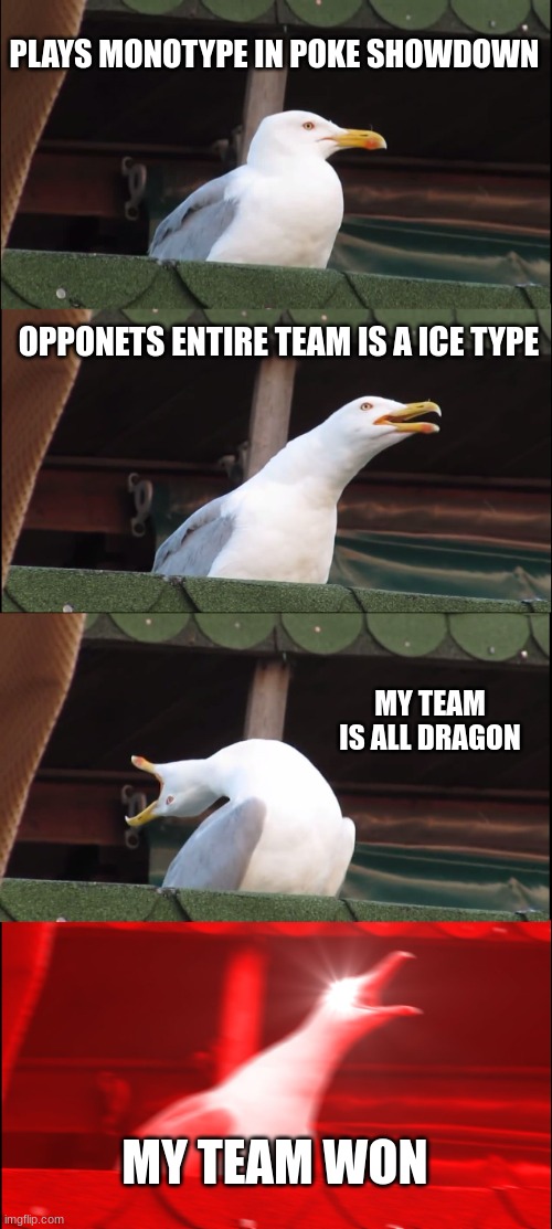 Pokemon Showdown be like | PLAYS MONOTYPE IN POKE SHOWDOWN; OPPONETS ENTIRE TEAM IS A ICE TYPE; MY TEAM IS ALL DRAGON; MY TEAM WON | image tagged in memes,inhaling seagull | made w/ Imgflip meme maker