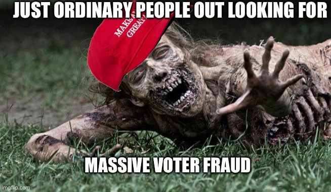 Walking Dead Zombie | JUST ORDINARY PEOPLE OUT LOOKING FOR; MASSIVE VOTER FRAUD | image tagged in walking dead zombie | made w/ Imgflip meme maker