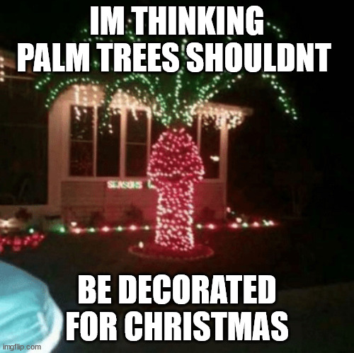 Christmas Lights | IM THINKING PALM TREES SHOULDNT; BE DECORATED FOR CHRISTMAS | image tagged in christmas lights | made w/ Imgflip meme maker