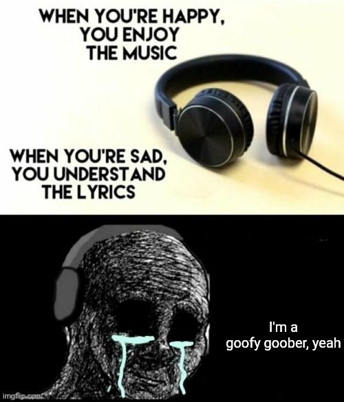 When your sad you understand the lyrics | I'm a goofy goober, yeah | image tagged in when your sad you understand the lyrics | made w/ Imgflip meme maker