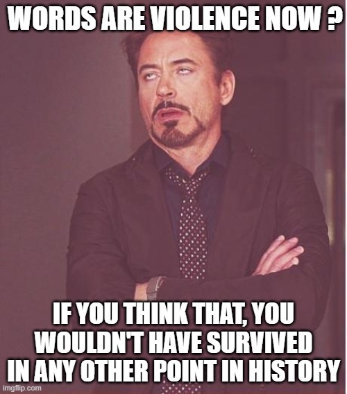 Face You Make Robert Downey Jr Meme | WORDS ARE VIOLENCE NOW ? IF YOU THINK THAT, YOU WOULDN'T HAVE SURVIVED IN ANY OTHER POINT IN HISTORY | image tagged in memes,face you make robert downey jr | made w/ Imgflip meme maker
