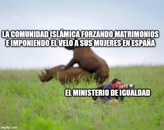 Rhinoceros and photographer | LA COMUNIDAD ISLÁMICA FORZANDO MATRIMONIOS E IMPONIENDO EL VELO A SUS MUJERES EN ESPAÑA; EL MINISTERIO DE IGUALDAD | image tagged in rhinoceros and photographer | made w/ Imgflip meme maker