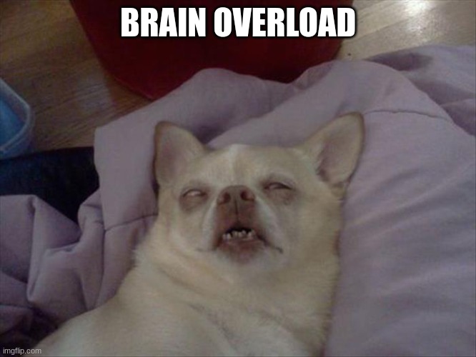 Brain overload | BRAIN OVERLOAD | image tagged in brain overload | made w/ Imgflip meme maker