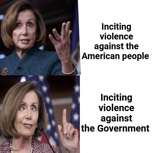 Royalty must be protected | Inciting violence against the American people; Inciting violence against the Government | image tagged in democracy,well yes but actually no,monarchy,politicians suck,rich people,government corruption | made w/ Imgflip meme maker
