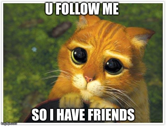 please i am lonely | U FOLLOW ME; SO I HAVE FRIENDS | image tagged in memes,shrek cat | made w/ Imgflip meme maker
