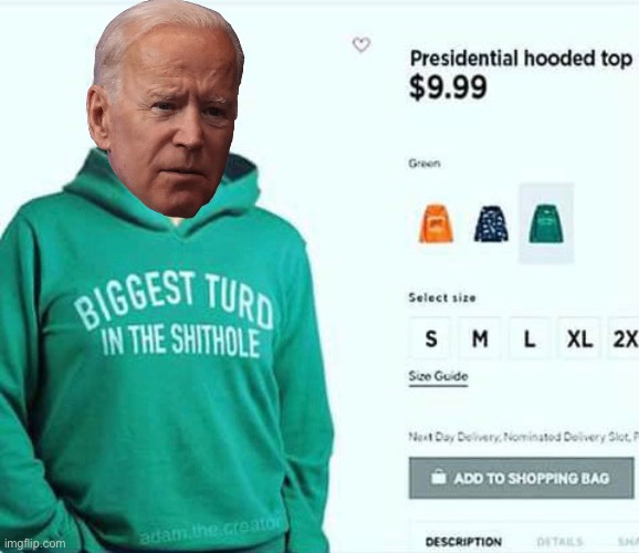 Cool Joe Biden | image tagged in memes,not my president,first world problems,no no hes got a point,i see what you did there,cool joe biden | made w/ Imgflip meme maker