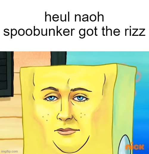 heul naoh spoobunker got the rizz | image tagged in memes | made w/ Imgflip meme maker