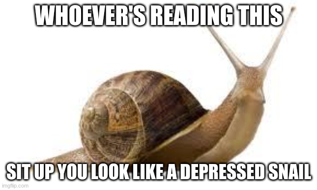 SNAIL | WHOEVER'S READING THIS; SIT UP YOU LOOK LIKE A DEPRESSED SNAIL | image tagged in snail | made w/ Imgflip meme maker