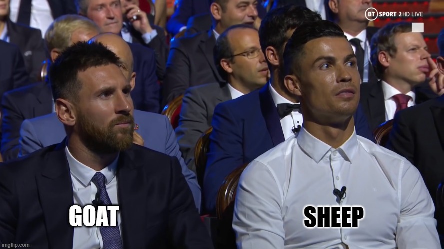 GOAT vs Black SHEEP | SHEEP; GOAT | image tagged in messi and ronaldo confused meme | made w/ Imgflip meme maker