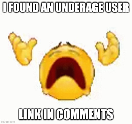GO RAID | I FOUND AN UNDERAGE USER; LINK IN COMMENTS | image tagged in beep,end them | made w/ Imgflip meme maker