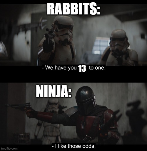 Four to One | RABBITS: NINJA: 13 | image tagged in four to one | made w/ Imgflip meme maker