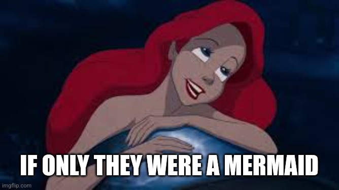 Little mermaid | IF ONLY THEY WERE A MERMAID | image tagged in little mermaid | made w/ Imgflip meme maker