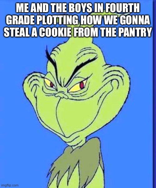Good Grinch | ME AND THE BOYS IN FOURTH GRADE PLOTTING HOW WE GONNA STEAL A COOKIE FROM THE PANTRY | image tagged in good grinch,elementary,funny,funny memes,popular,hilarious | made w/ Imgflip meme maker