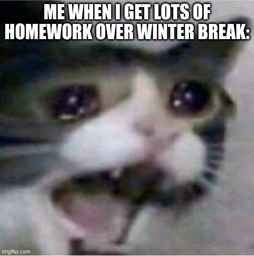 this has NEVER EVER happend to me lol | ME WHEN I GET LOTS OF HOMEWORK OVER WINTER BREAK: | image tagged in crying cat | made w/ Imgflip meme maker