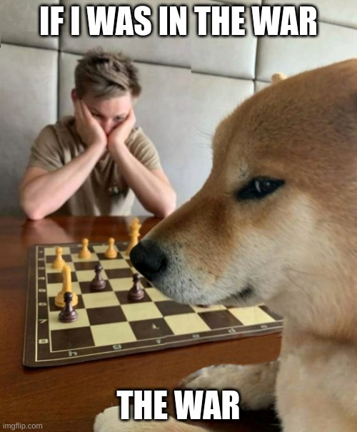 war | IF I WAS IN THE WAR; THE WAR | image tagged in chess doge | made w/ Imgflip meme maker