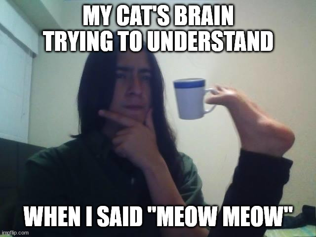 Hmmmm | MY CAT'S BRAIN TRYING TO UNDERSTAND; WHEN I SAID "MEOW MEOW" | image tagged in hmmmm | made w/ Imgflip meme maker