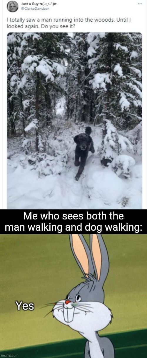 Dog man | Me who sees both the man walking and dog walking: | image tagged in bugs bunny yes,dog,man,walking,snow,memes | made w/ Imgflip meme maker