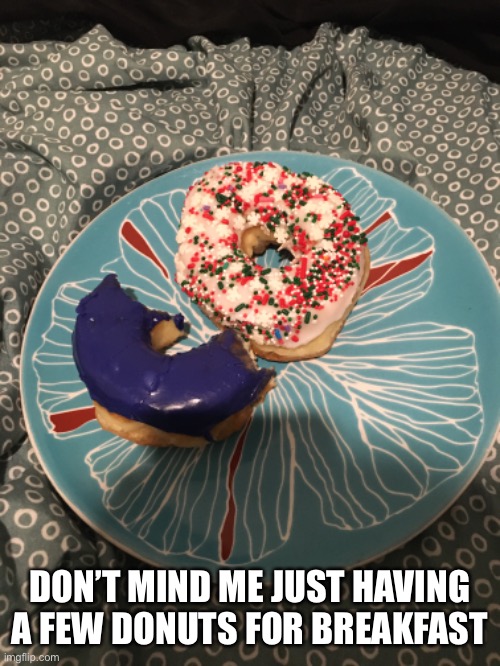 DON’T MIND ME JUST HAVING A FEW DONUTS FOR BREAKFAST | image tagged in tasty,mmmmmdonuts,pleasedontrobme | made w/ Imgflip meme maker