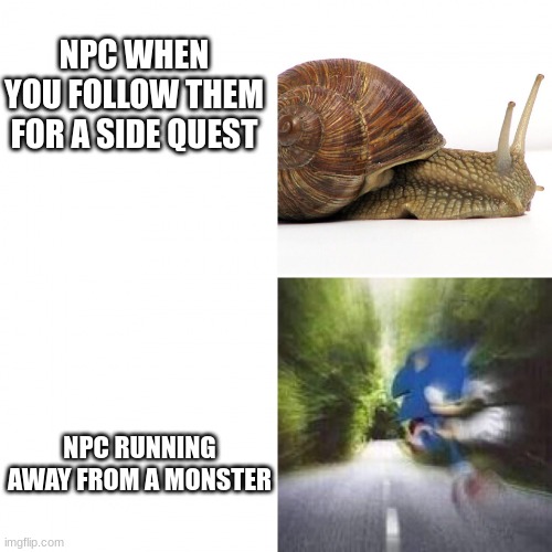 True though | NPC WHEN YOU FOLLOW THEM FOR A SIDE QUEST; NPC RUNNING AWAY FROM A MONSTER | image tagged in sonic vs snail,npc meme,memes,funny,goofy ahh | made w/ Imgflip meme maker