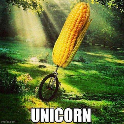 UNICORN | image tagged in unicorn | made w/ Imgflip meme maker