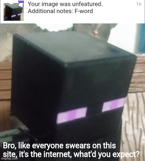 Bro, like everyone swears on this site, it's the internet, what'd you expect? | image tagged in enderman stare | made w/ Imgflip meme maker