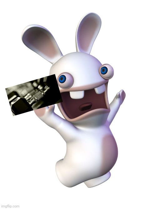 Rabbid | image tagged in rabbid | made w/ Imgflip meme maker