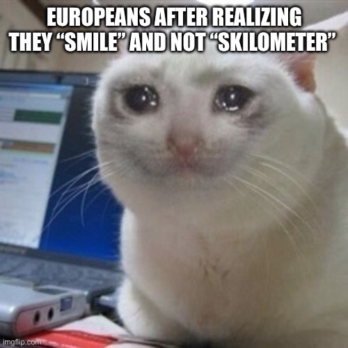 Crying cat | EUROPEANS AFTER REALIZING THEY “SMILE” AND NOT “SKILOMETER” | image tagged in crying cat | made w/ Imgflip meme maker