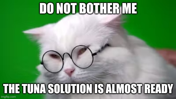 Hmmmmm | DO NOT BOTHER ME; THE TUNA SOLUTION IS ALMOST READY | image tagged in cat,cats,smart,tuna,funny,animals | made w/ Imgflip meme maker